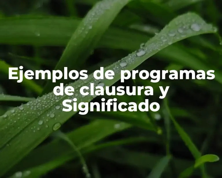 Ejemplos de programas de clausura y Significado