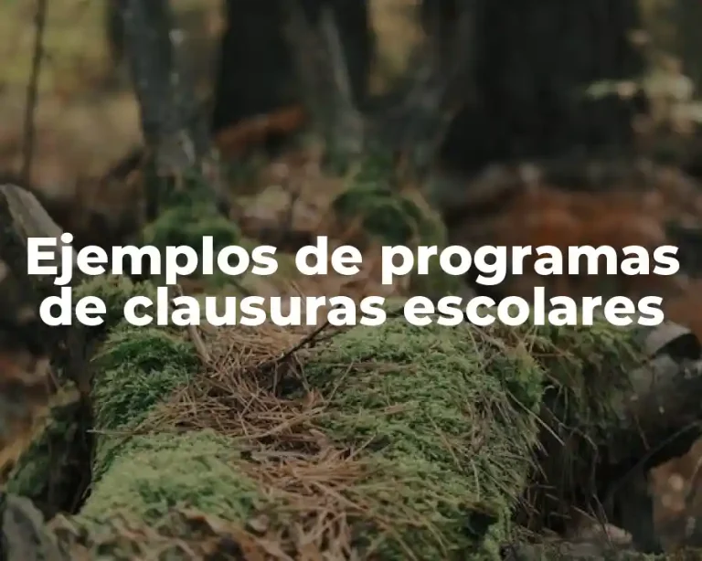 Ejemplos de programas de clausuras escolares