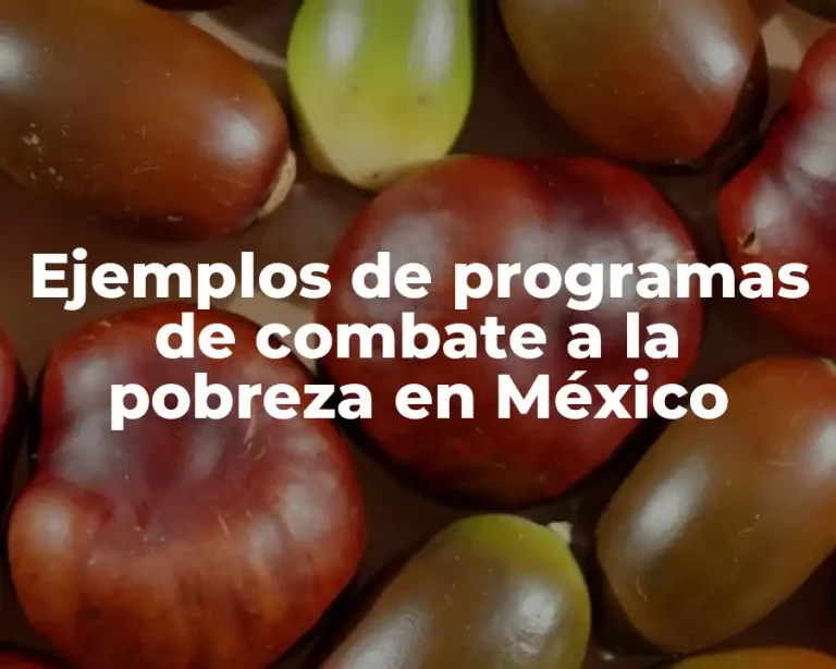 Ejemplos de programas de combate a la pobreza en México