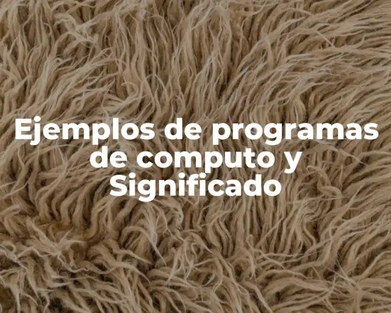 Ejemplos de programas de computo y Significado