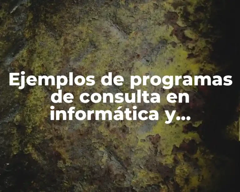Ejemplos de programas de consulta en informática y Significado