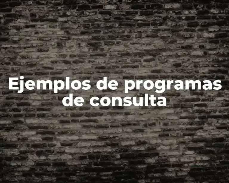 Ejemplos de programas de consulta