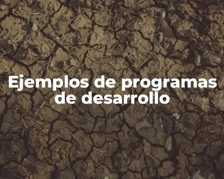 Ejemplos de programas de desarrollo