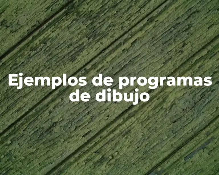 Ejemplos de programas de dibujo