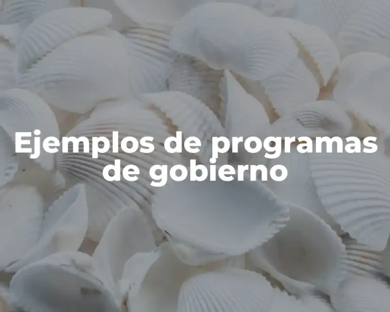 Ejemplos de programas de gobierno