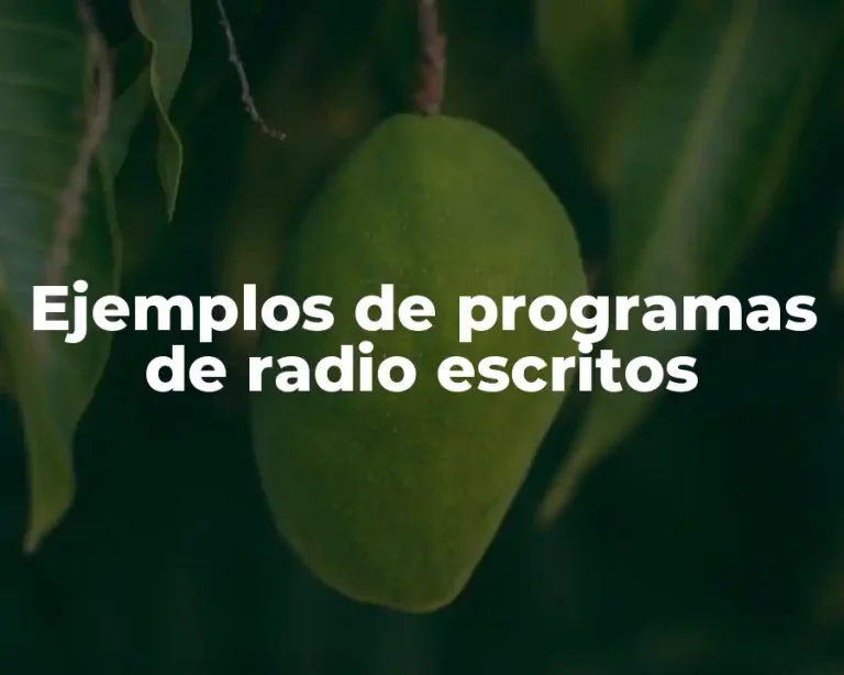 Ejemplos de programas de radio escritos