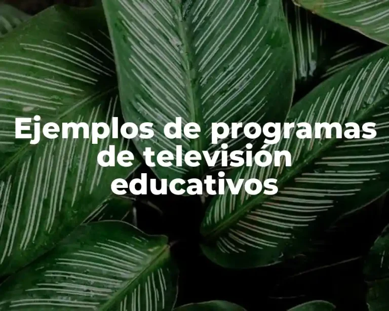 Ejemplos de programas de televisión educativos
