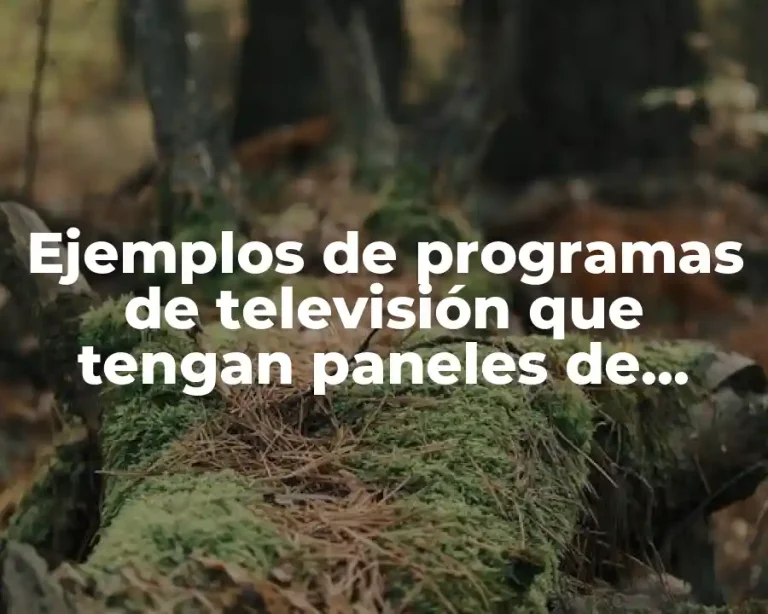 Ejemplos de programas de televisión que tengan paneles de discusión
