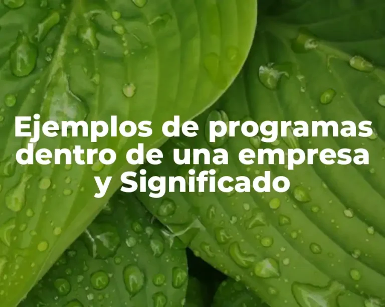 Ejemplos de programas dentro de una empresa y Significado