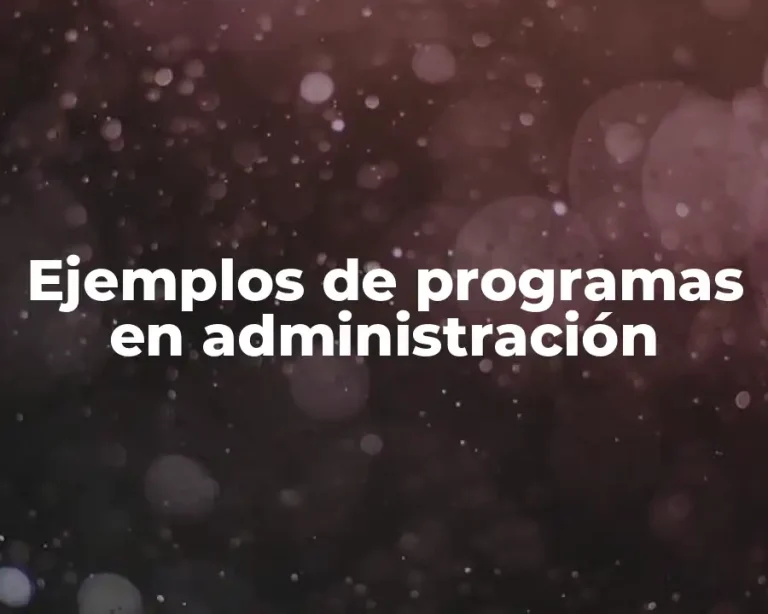 Ejemplos de programas en administración