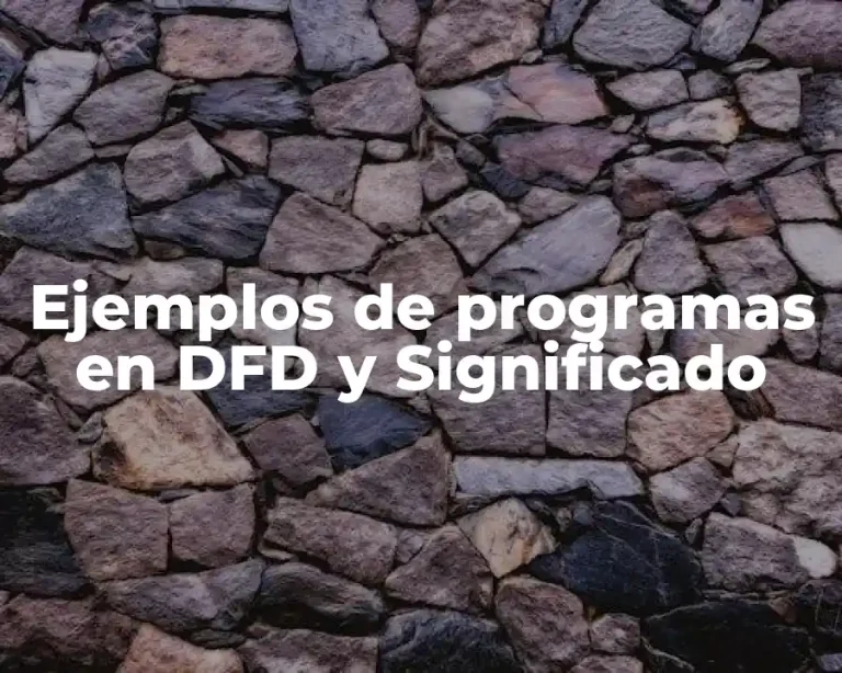 Ejemplos de programas en DFD y Significado