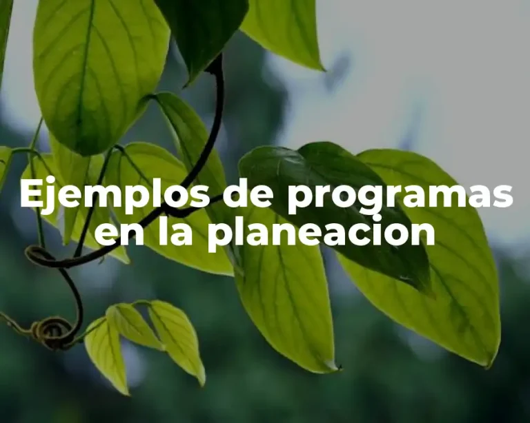 Ejemplos de programas en la planeacion