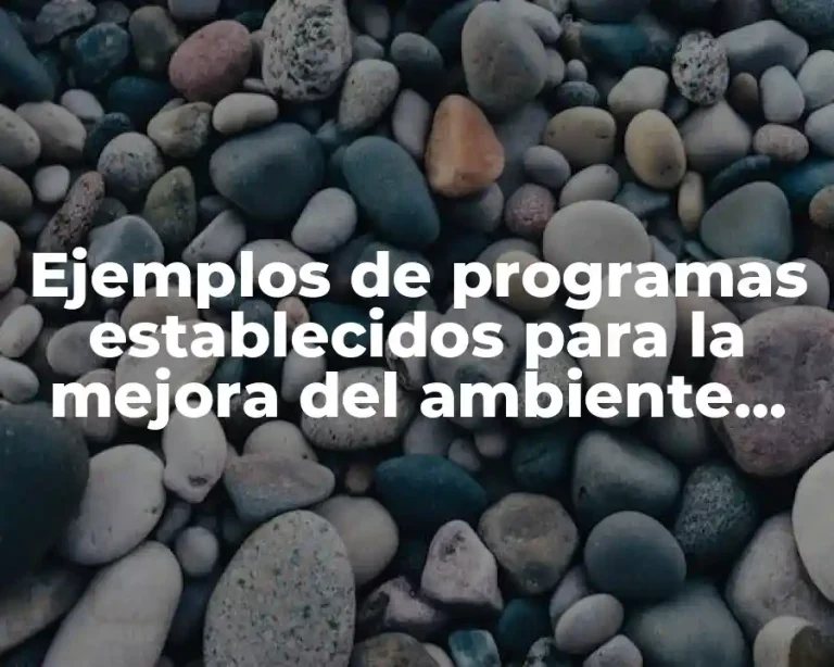 Ejemplos de programas establecidos para la mejora del ambiente laboral y Significado