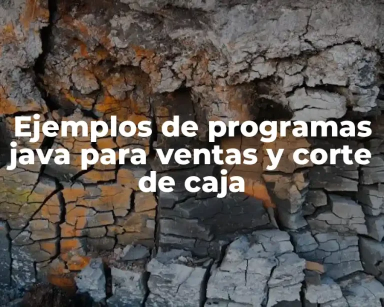 Ejemplos de programas java para ventas y corte de caja