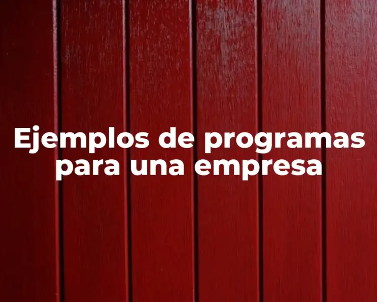Ejemplos de programas para una empresa
