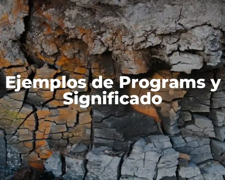 Ejemplos de Programs y Significado