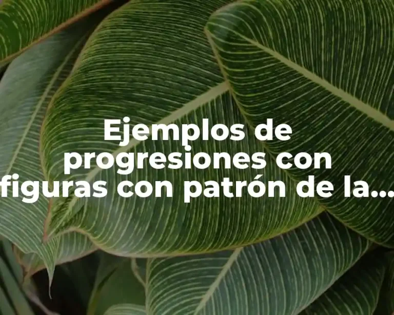 Ejemplos de progresiones con figuras con patrón de la sucesion