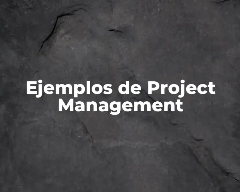 Ejemplos de Project Management