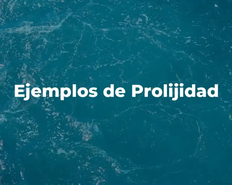 Ejemplos de Prolijidad