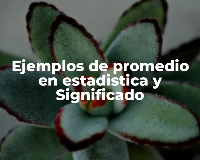 Ejemplos de promedio en estadistica y Significado