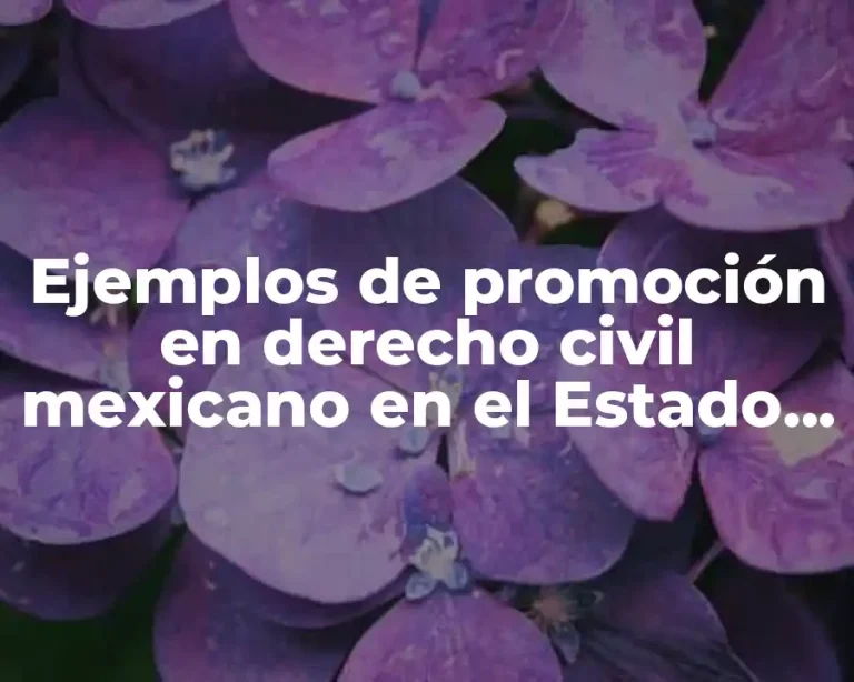 Ejemplos de promoción en derecho civil mexicano en el Estado de México y Significado