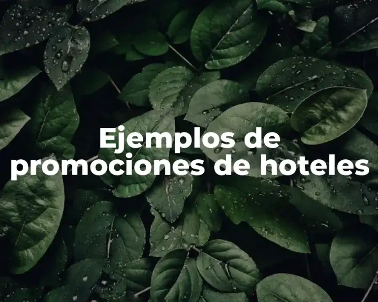 Ejemplos de promociones de hoteles