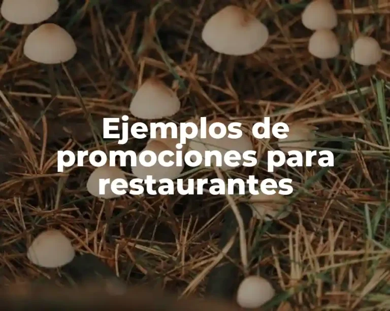 Ejemplos de promociones para restaurantes
