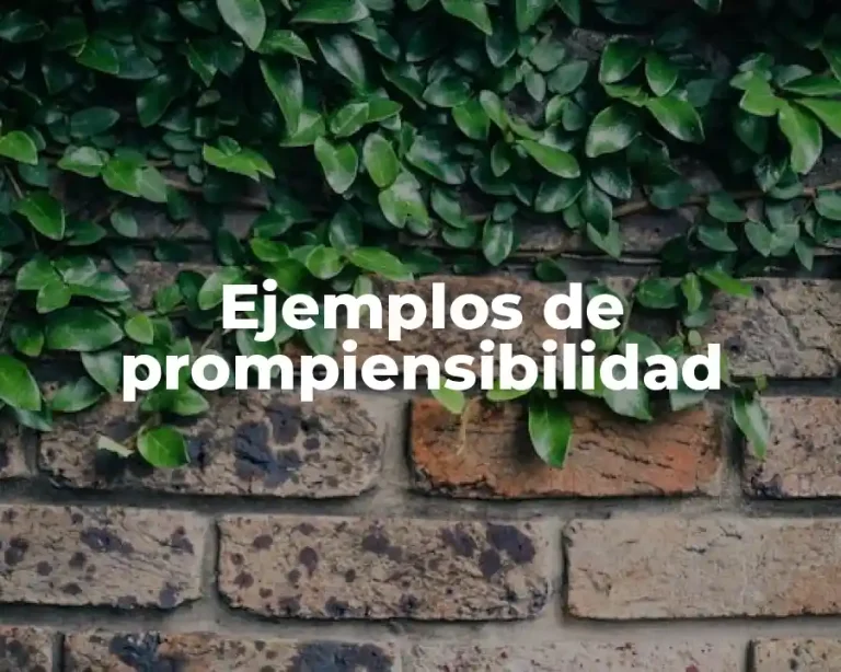 Ejemplos de prompiensibilidad