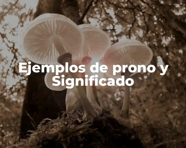 Ejemplos de prono y Significado