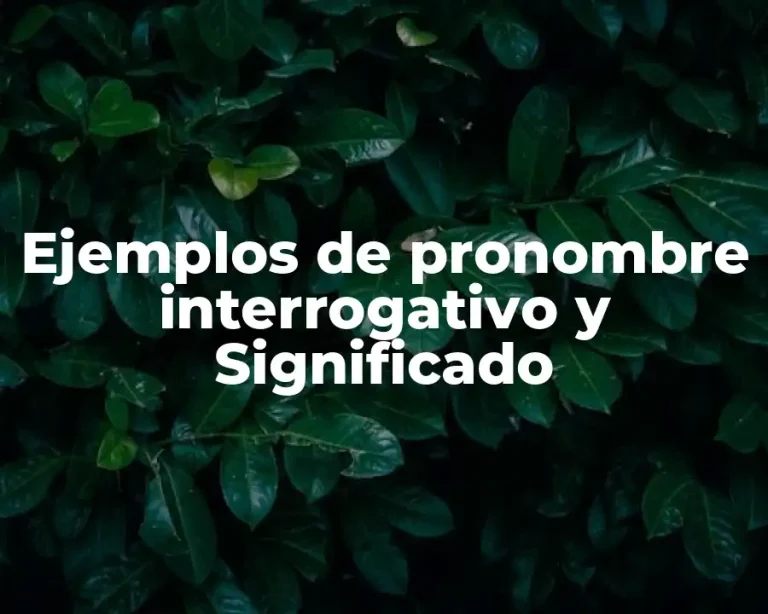 Ejemplos de pronombre interrogativo y Significado