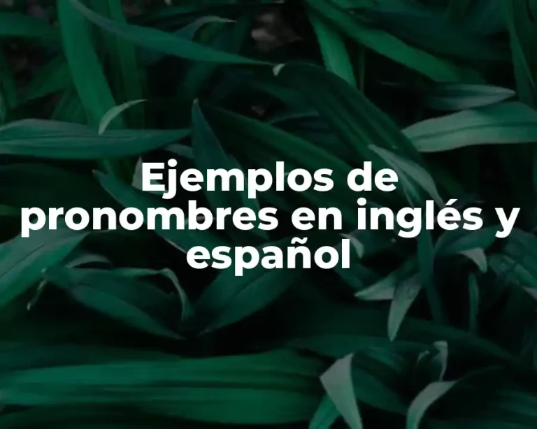 Ejemplos de pronombres en inglés y español