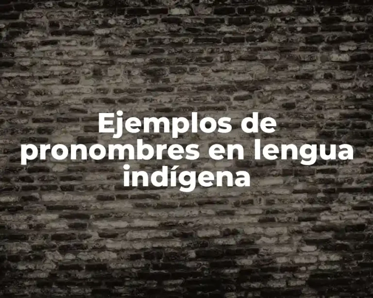 Ejemplos de pronombres en lengua indígena