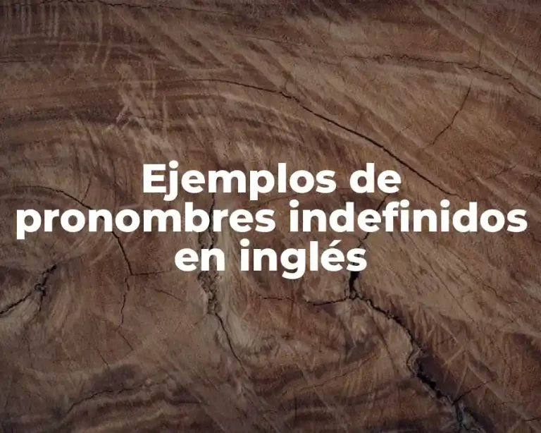 Ejemplos de pronombres indefinidos en inglés