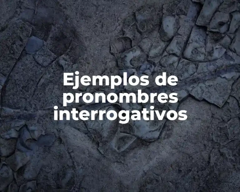 Ejemplos de pronombres interrogativos
