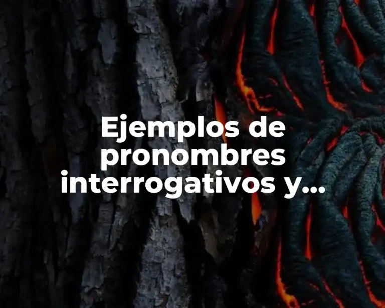 Ejemplos de pronombres interrogativos y exclamativos