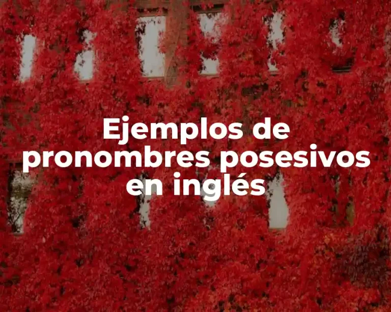 Ejemplos de pronombres posesivos en inglés