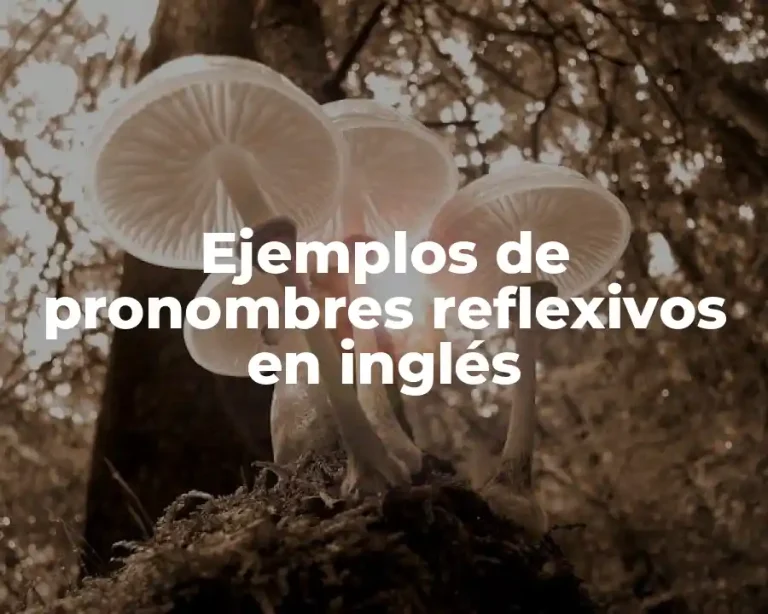 Ejemplos de pronombres reflexivos en inglés