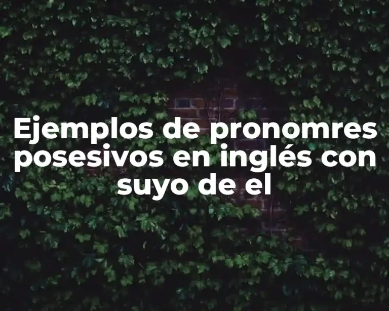 Ejemplos de pronomres posesivos en inglés con suyo de el