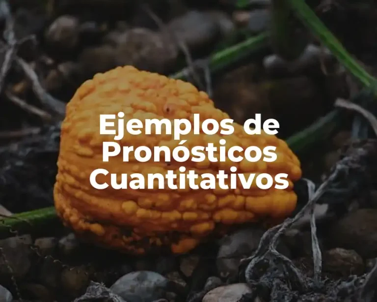 Ejemplos de Pronósticos Cuantitativos