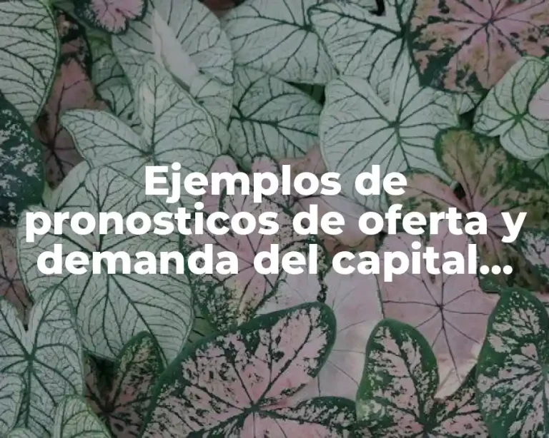 Ejemplos de pronosticos de oferta y demanda del capital humano y Significado