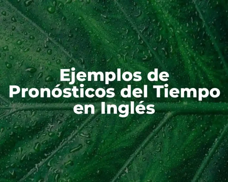 Ejemplos de Pronósticos del Tiempo en Inglés