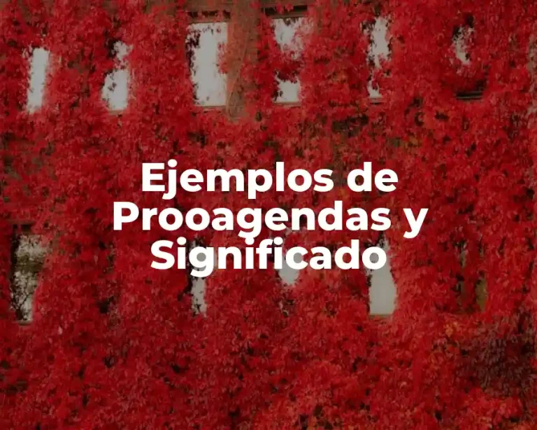 Ejemplos de Prooagendas y Significado