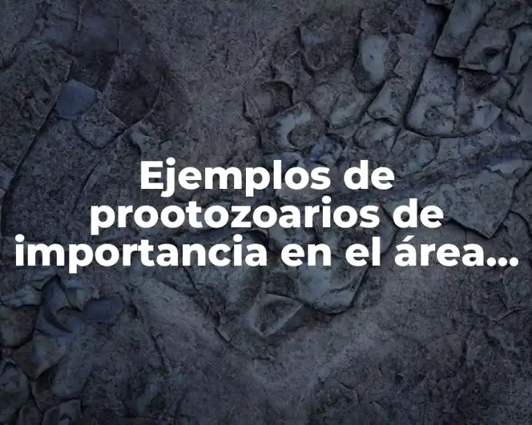 Ejemplos de prootozoarios de importancia en el área de salud