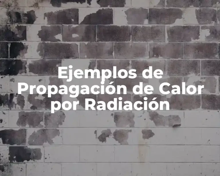 Ejemplos de Propagación de Calor por Radiación