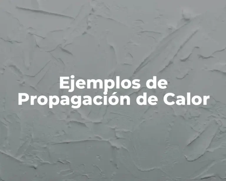 Ejemplos de Propagación de Calor