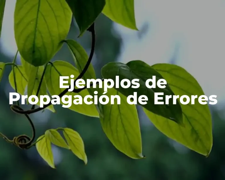 Ejemplos de Propagación de Errores