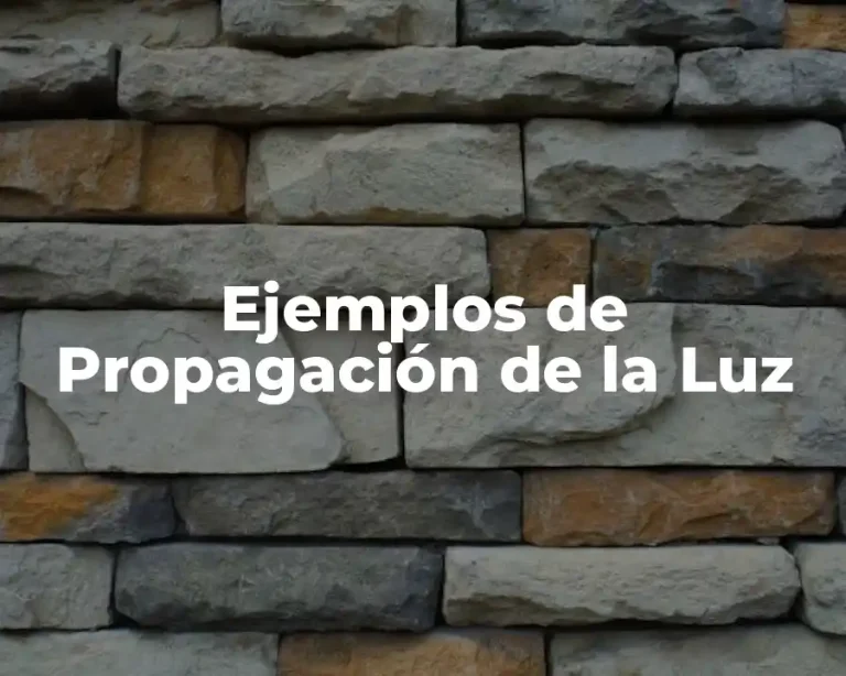 Ejemplos de Propagación de la Luz