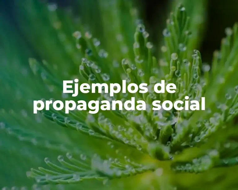 Ejemplos de propaganda social