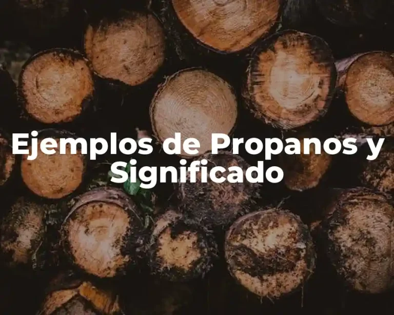 Ejemplos de Propanos y Significado