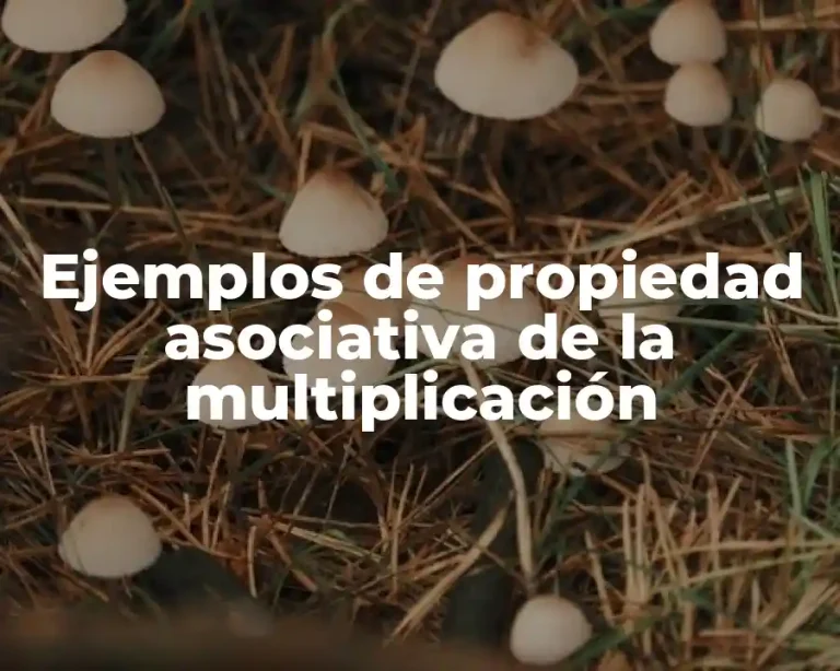 Ejemplos de propiedad asociativa de la multiplicación